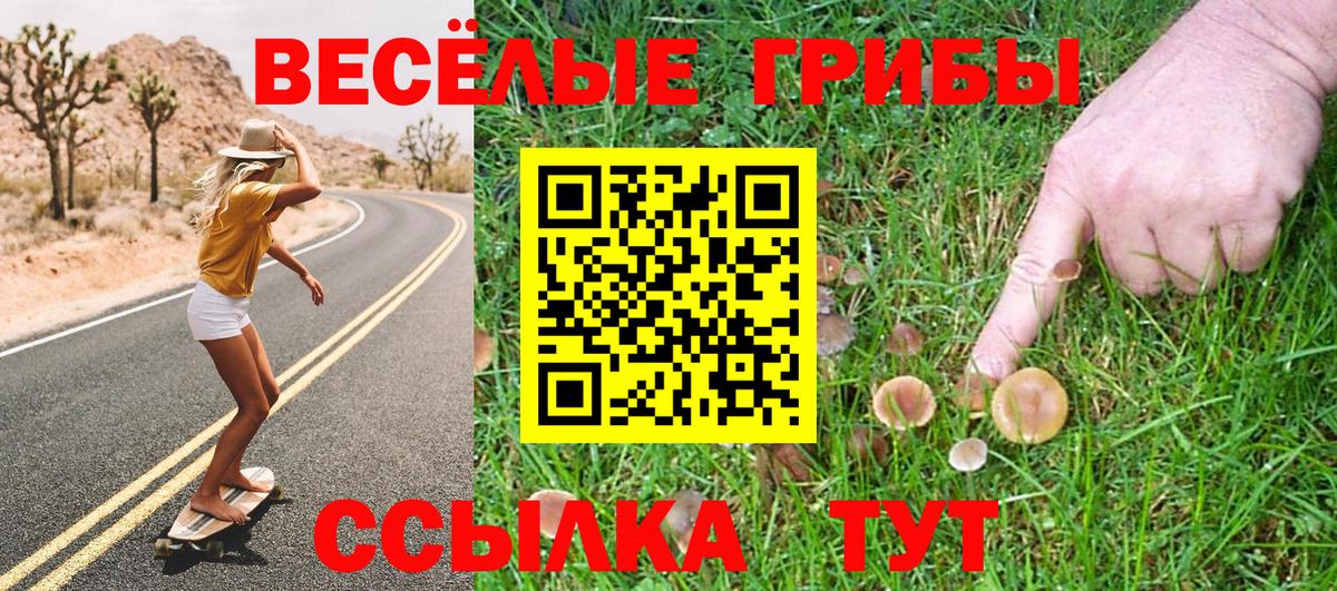 Псилоцибиновые грибы Cubensis Димитровград