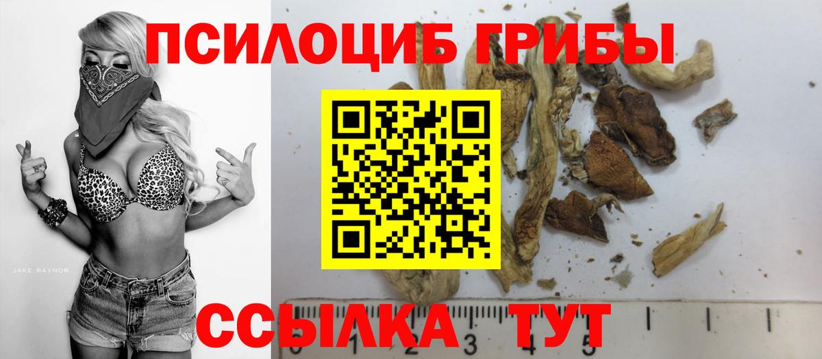 Галлюциногенные грибы Magic Shrooms  Галлюциногенные грибы ЛСД  Вход с VPN  Димитровград 